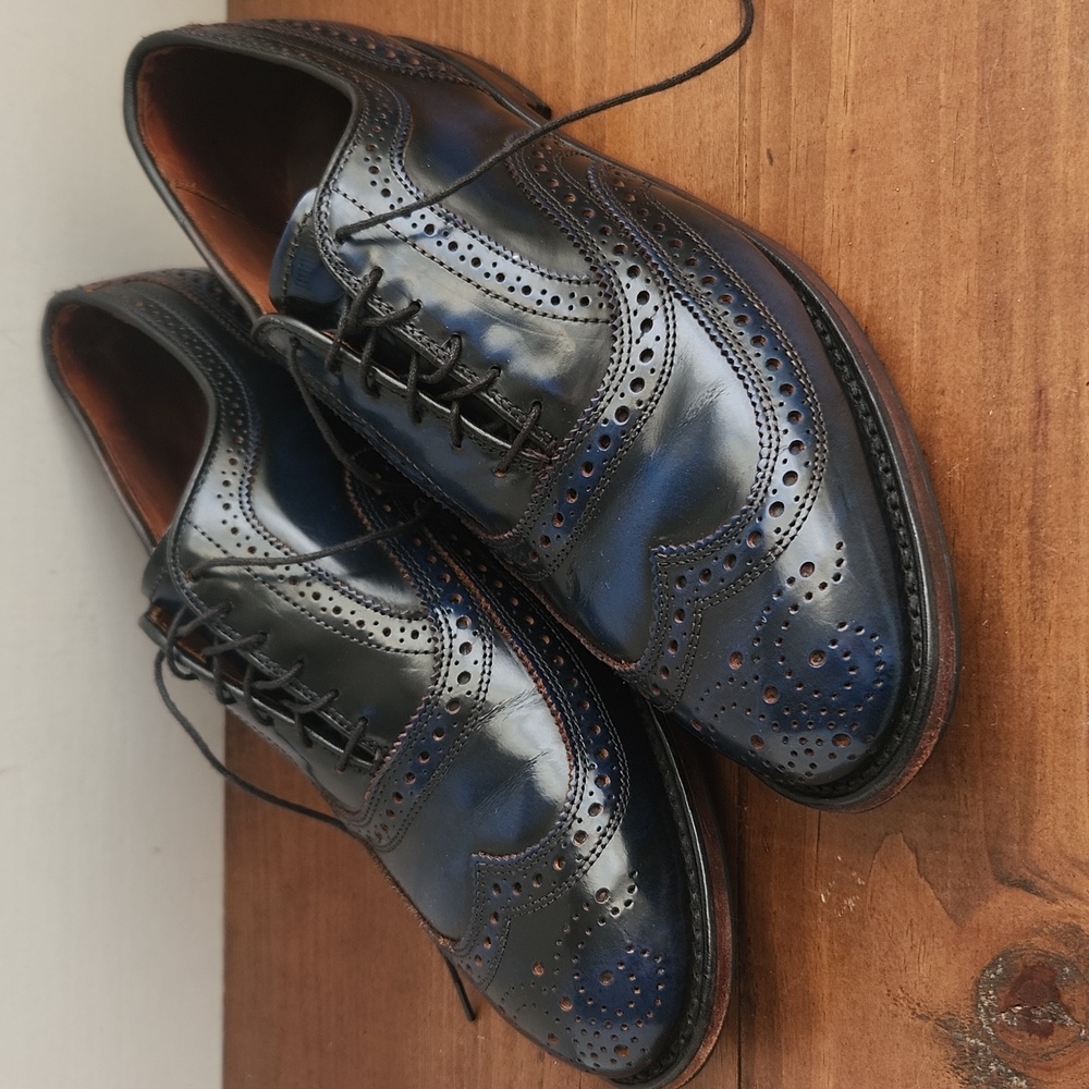 Allen Edmond Morgan Blue Leather WingTip Oxford Dress Shoes Men Size 10 D